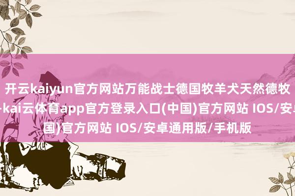 开云kaiyun官方网站万能战士德国牧羊犬天然德牧属于万能型战士-kai云体育app官方登录入口(中国)官方网站 IOS/安卓通用版/手机版