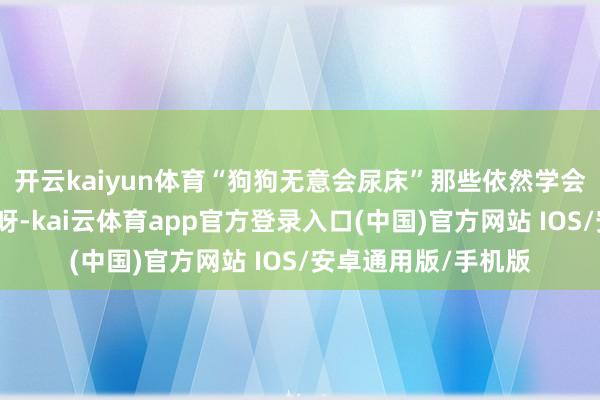 开云kaiyun体育“狗狗无意会尿床”那些依然学会定点大小便的狗狗呀-kai云体育app官方登录入口(中国)官方网站 IOS/安卓通用版/手机版