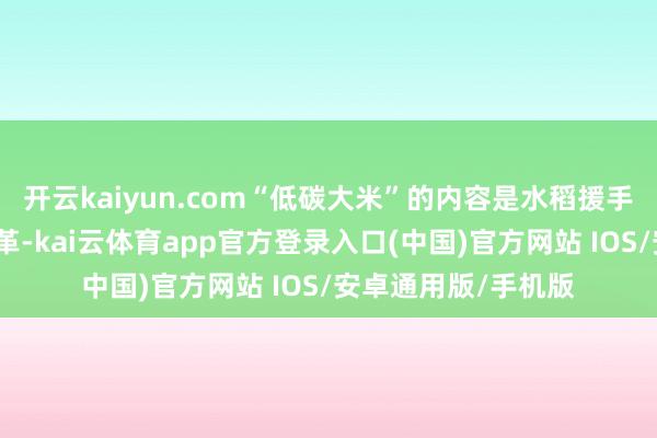 开云kaiyun.com“低碳大米”的内容是水稻援手式样发生系统性变革-kai云体育app官方登录入口(中国)官方网站 IOS/安卓通用版/手机版