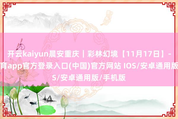 开云kaiyun晨安重庆｜彩林幻境【11月17日】-kai云体育app官方登录入口(中国)官方网站 IOS/安卓通用版/手机版